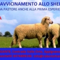 locandina.jpg